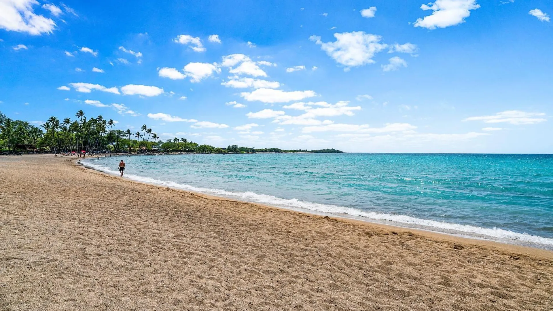 The Shores At Waikoloa 114