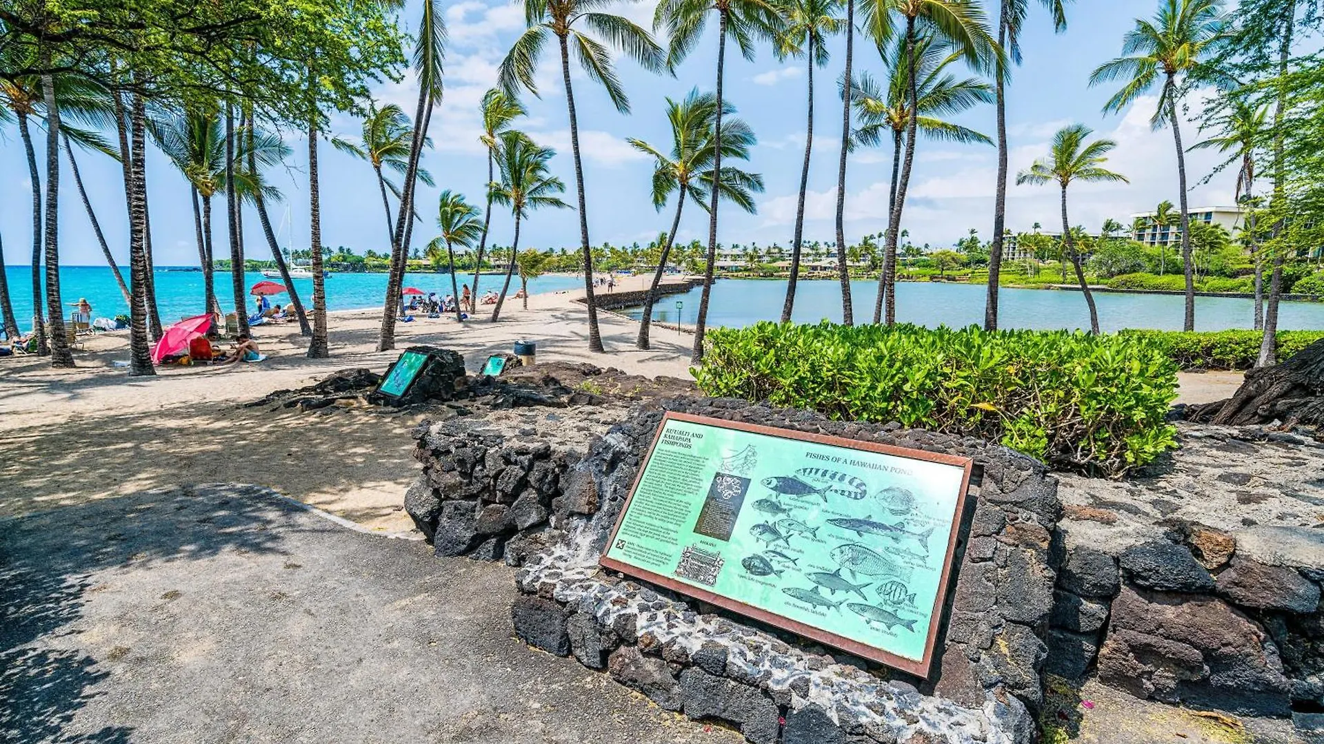 The Shores At Waikoloa 114 0*,